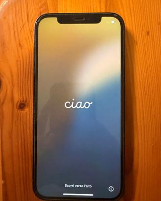 iPhone 12