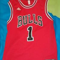 canotta bulls (Rose) S