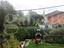 Immagine 24