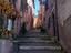 Immagine 26