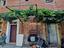 Immagine 7