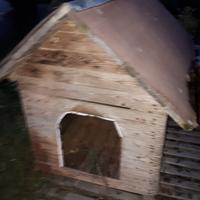 2 cucce per cani da riparare