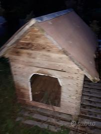 2 cucce per cani da riparare