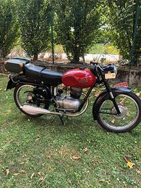 Gilera 150 sport 1954 Asi