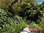 Immagine 12