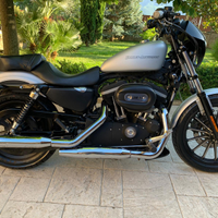 Harley Davidson sportster iron 883
