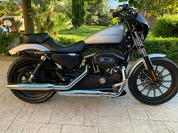 Harley Davidson sportster iron 883