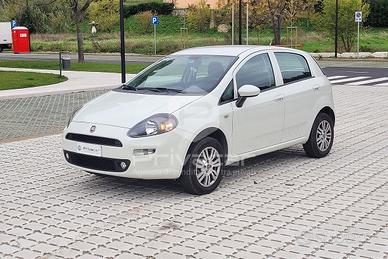 FIAT Punto 1.4 8V 5 porte Natural Power Street