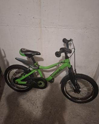 Bicicletta