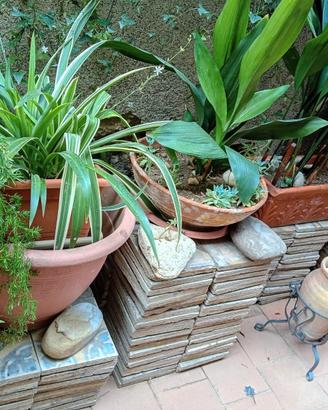 SPLENDIDE CEMENTINE PIASTRELLE