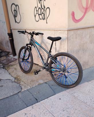 Mountain Bike Rockrider (btwin) 