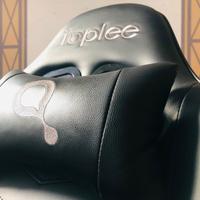 Sedia da Gaming con Doppi Cuscini ❇️ immediata ❇️