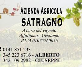 Azienda Vigneti