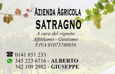 Azienda Vigneti