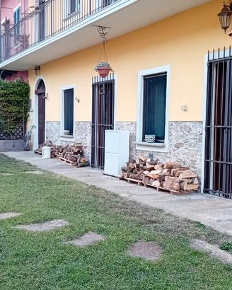 Appartamento con giardino