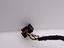 Immagine 9