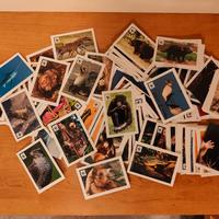 Il giro del mondo in 180 figurine WWF 290 figurine