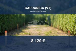 Immobile in asta di 608 m² a Capranica