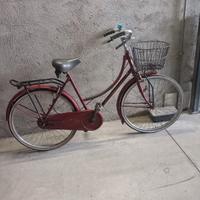 bici classica da 24 con cestino pronta