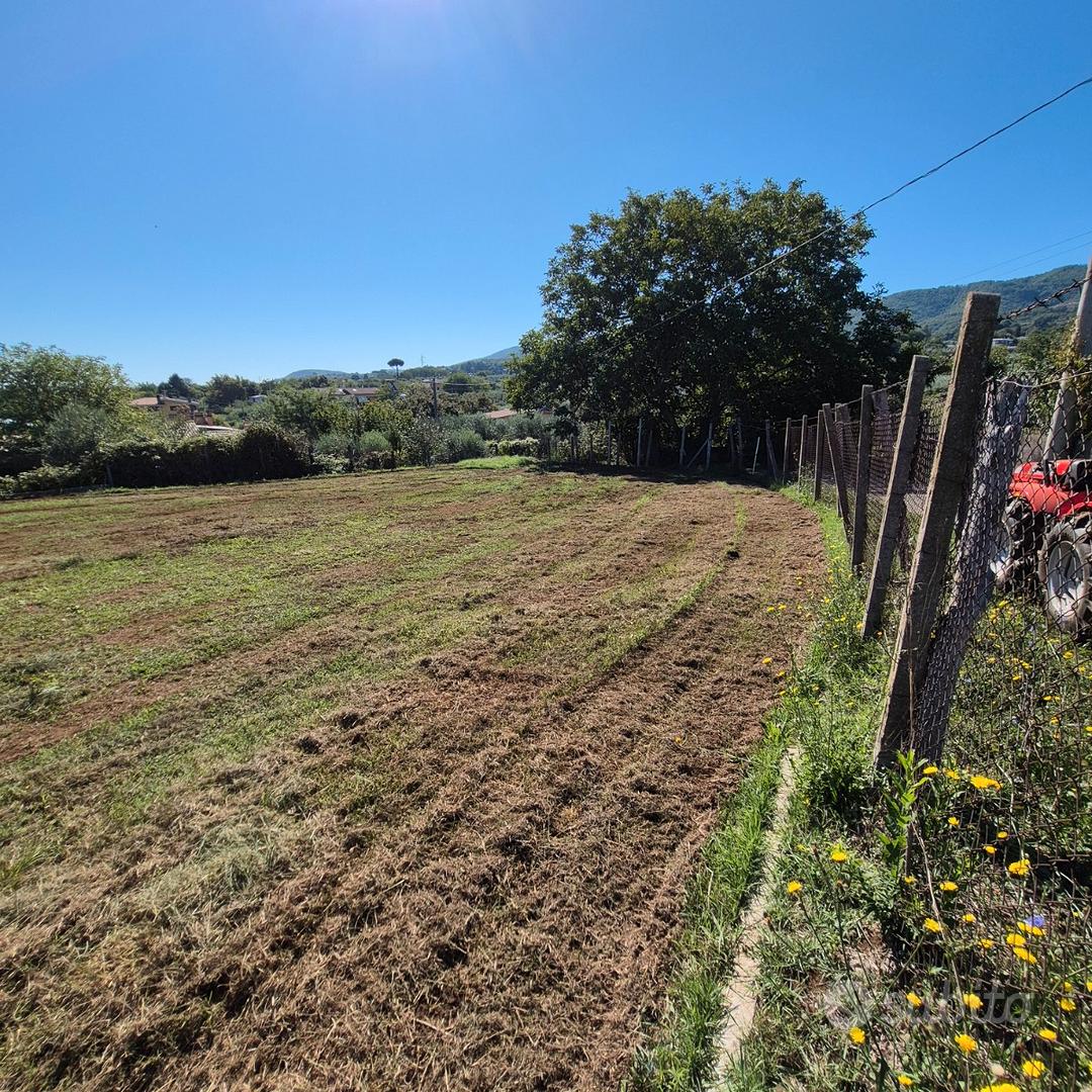 Monte Compatri Terreno Agricolo - Vista 5