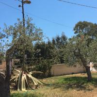 Casa vacanza 2 passi dalla spiaggia
