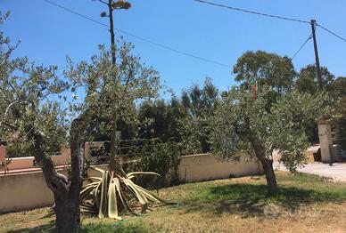 Casa vacanza 2 passi dalla spiaggia