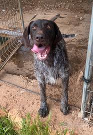 Bea ed il suo sorriso