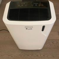 De’Longhi Pinguino EM93 Silent – Usato 1 Estate