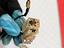 Immagine 19