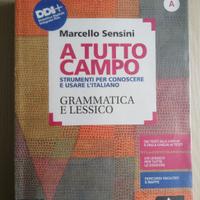 A TUTTO CAMPO GRAMMATICA E LESSICO 
