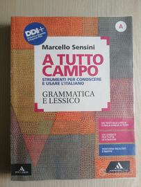 A TUTTO CAMPO GRAMMATICA E LESSICO 