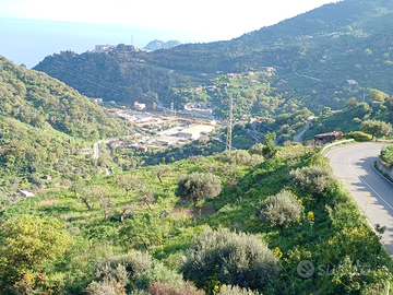 Terreno edificabile 4650 mq a 3 km Letojan