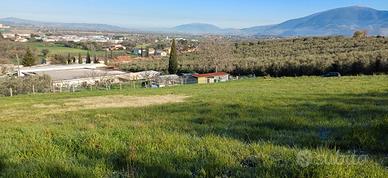 Terreno agricolo