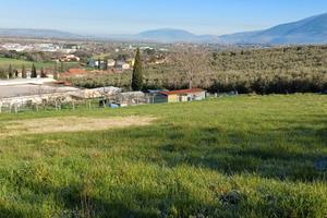 Terreno agricolo