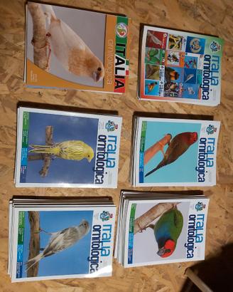 Collezione ITALIA ORNITOLOGICA 2019÷2025