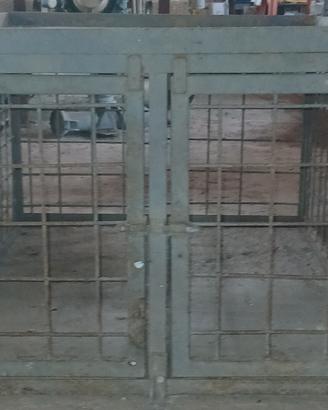 gabbia e cassetta trasporto cani 