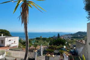 Ischia- Bilocale in villa vista mare-Terrazza pano