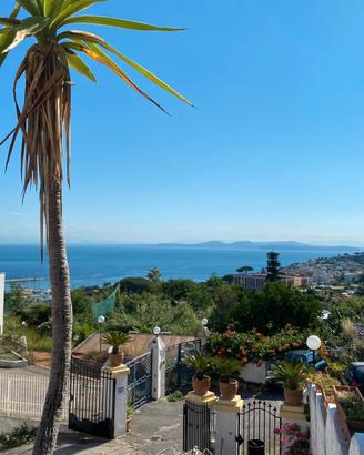 ISCHIA - Mono-bilocale in villa vista mare