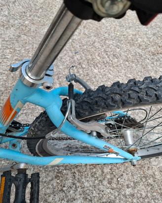 bicicletta ragazza 24