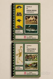 Lotto 2 atlanti scientifici – Zoologia e Anatomia