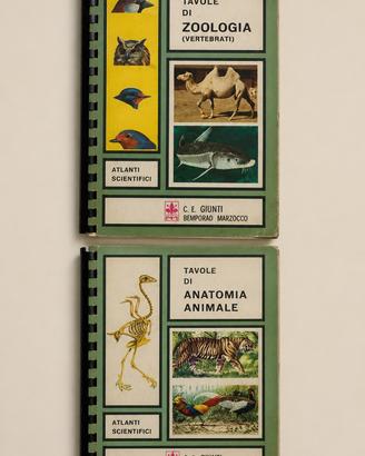 Lotto 2 atlanti scientifici – Zoologia e Anatomia