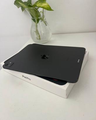 iPad pro 256gb, pencil pro e custodia