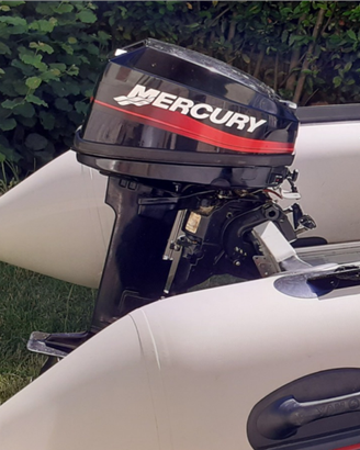 Vendita fuoribordo Mercury 15cv gambo corto