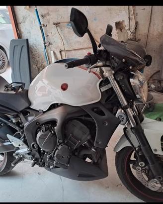 yamaha 600 zf6