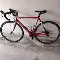BDC  Pinarello FP1