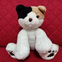 Peluce - gatto