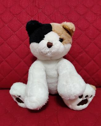 Peluce - gatto