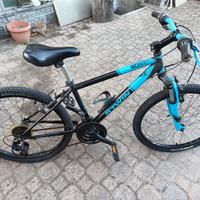 bicicletta