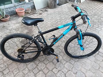 bicicletta