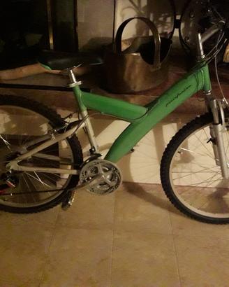 bici mountain bike
